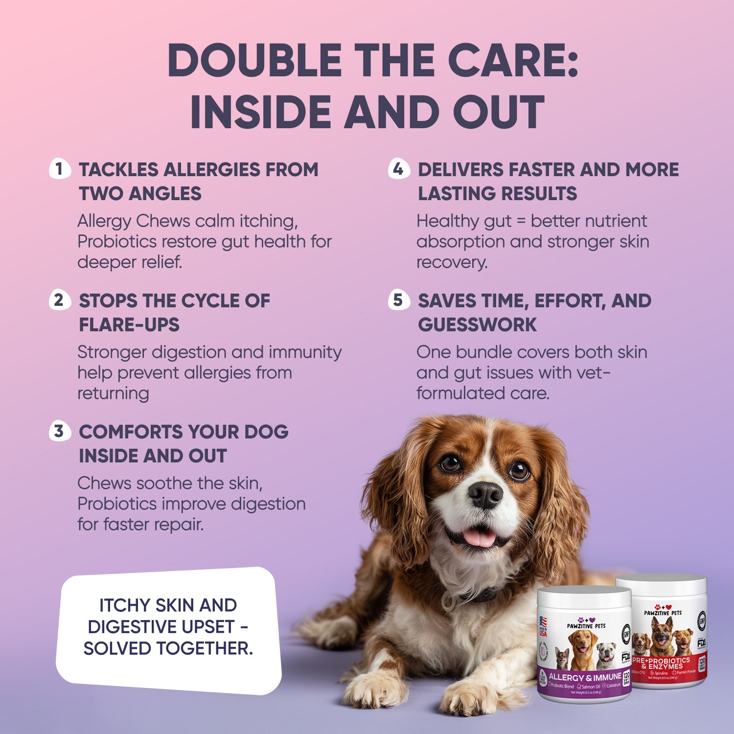 Gut & Allergy Support Bundle