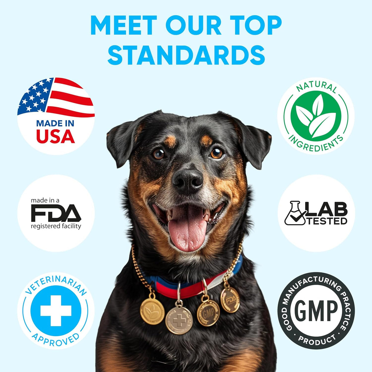 Chewable Flea and Tick Prevention for Dogs