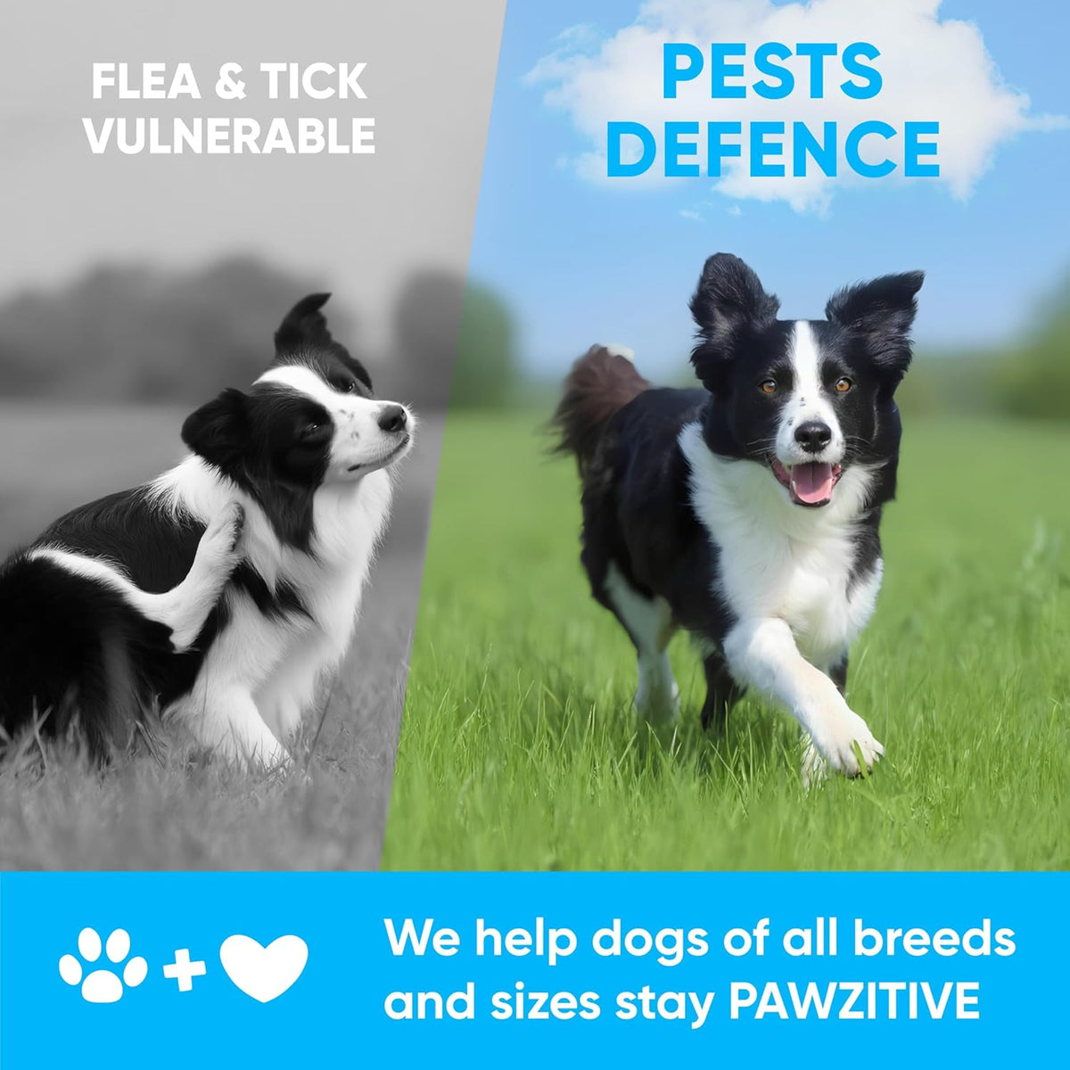 Chewable Flea and Tick Prevention for Dogs