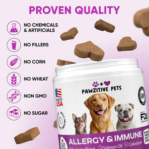 Dog Allergy Chews for Itchy Skin