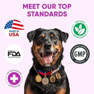 Dog Allergy Chews for Itchy Skin