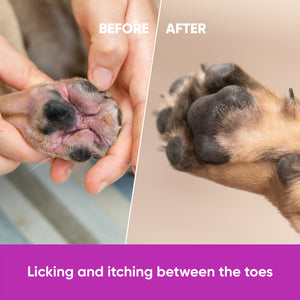 Dog Allergy Chews for Itchy Skin