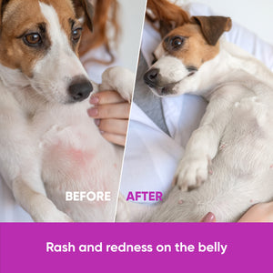 Dog Allergy Chews for Itchy Skin