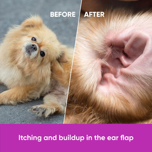 Dog Allergy Chews for Itchy Skin