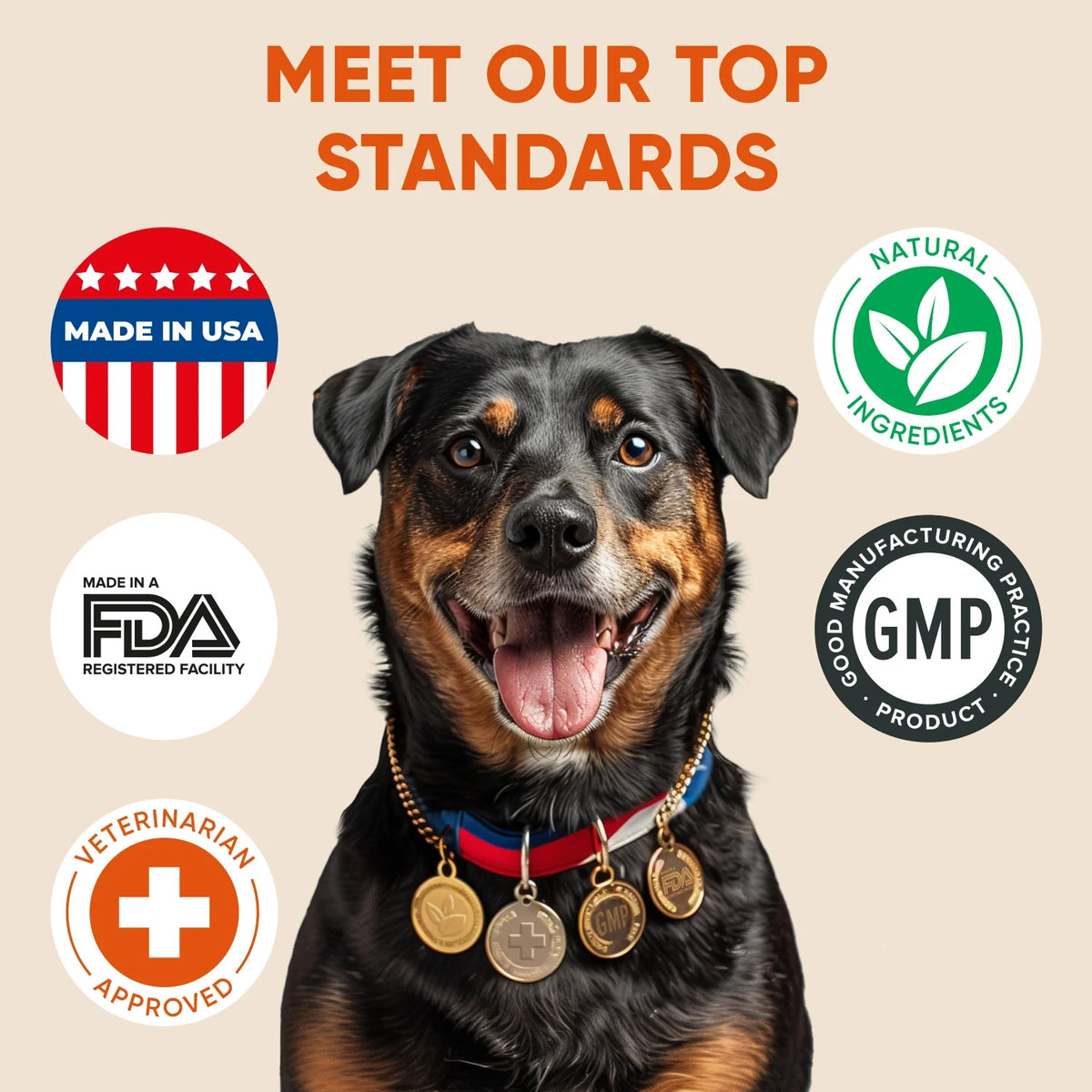 Dog Multivitamin Chews