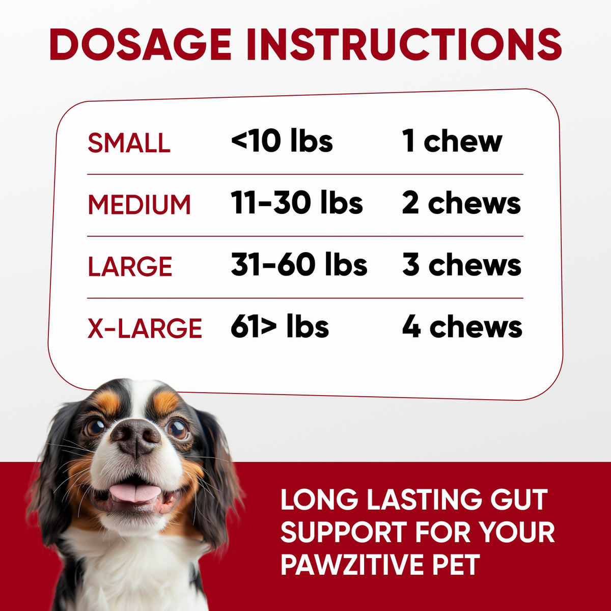 Probiotics for Dogs Digestive Health