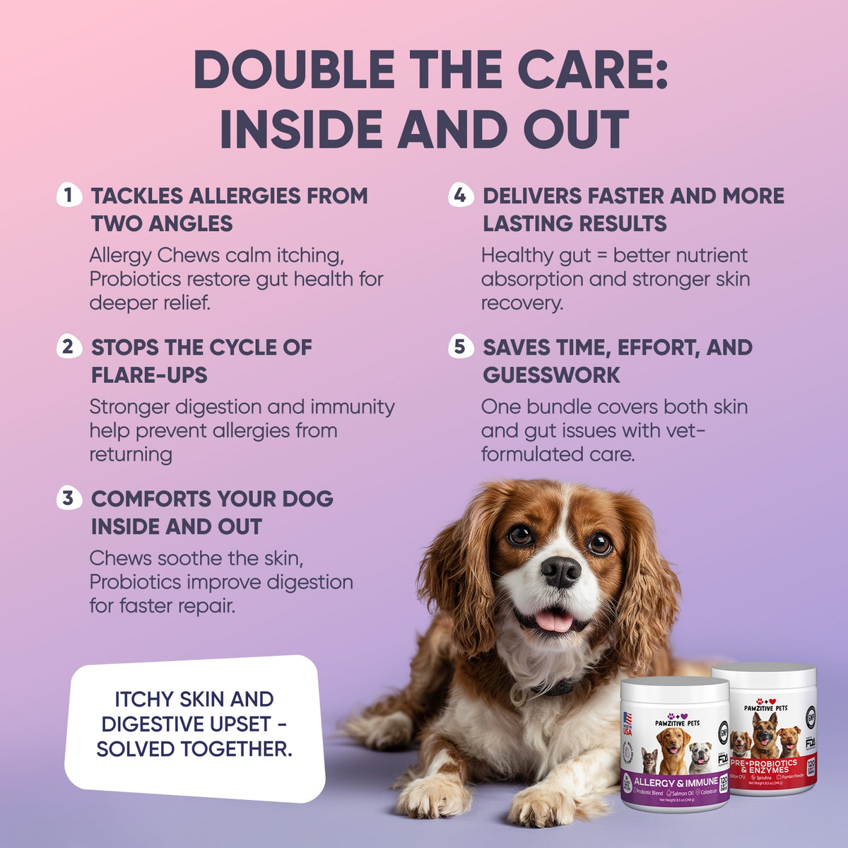 Gut & Allergy Support Bundle