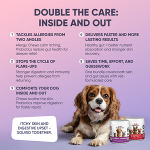 Gut & Allergy Support Bundle