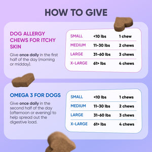 Anti-Allergy + Skin Repair Bundle
