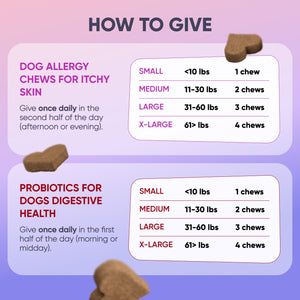 Gut & Allergy Support Bundle