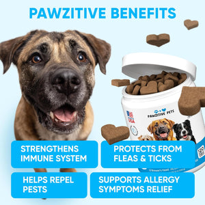 Chewable Flea and Tick Prevention for Dogs
