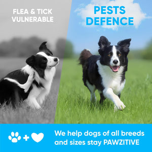 Chewable Flea and Tick Prevention for Dogs