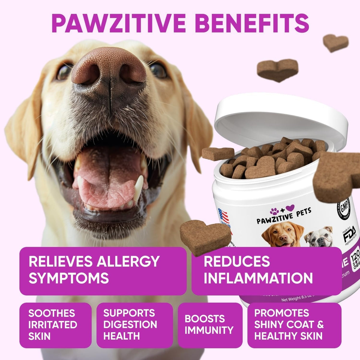 Dog Allergy Chews for Itchy Skin