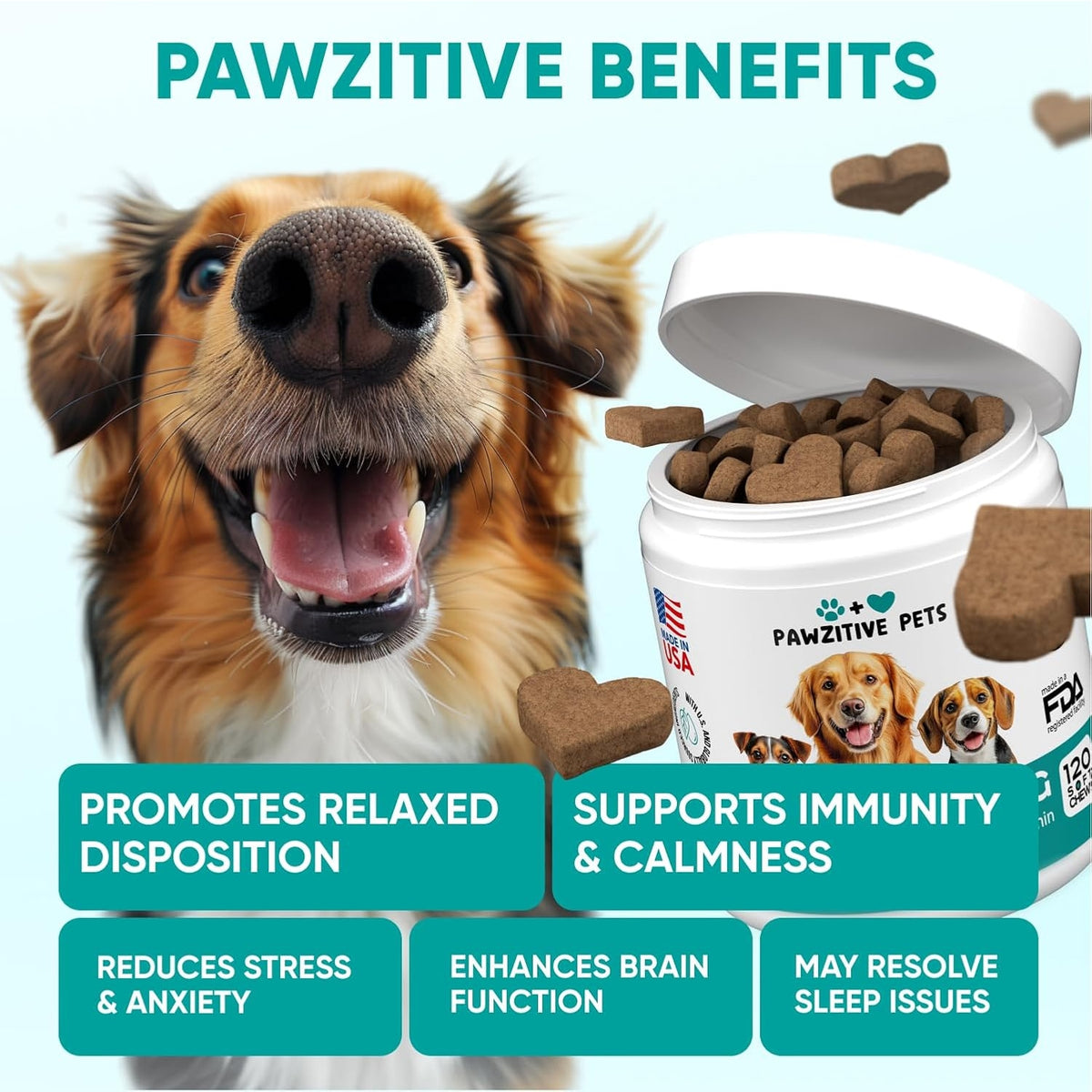 Hemp Calming Chews for Dogs