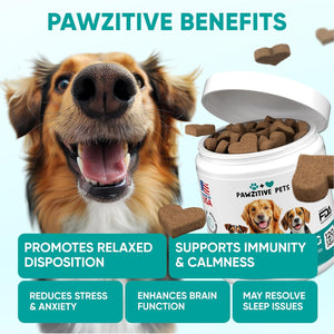Hemp Calming Chews for Dogs