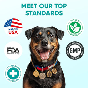 Hemp Calming Chews for Dogs