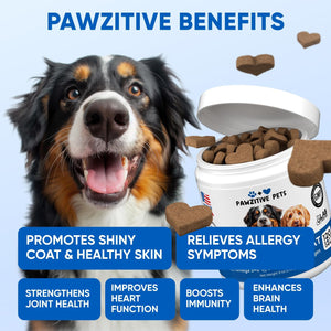 Omega 3 for Dogs