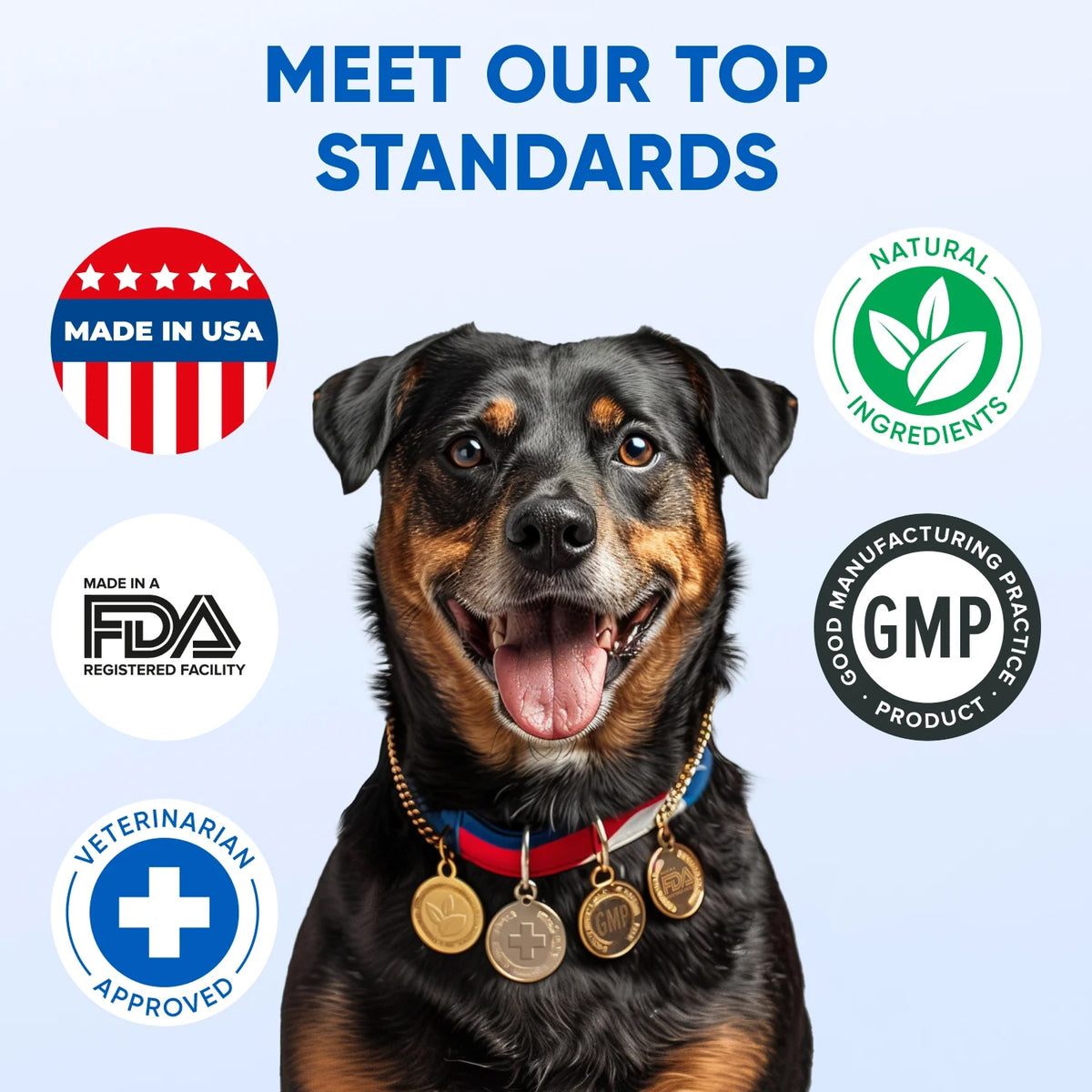 Omega 3 for Dogs