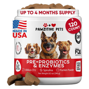 Probiotics for Dogs Digestive Health