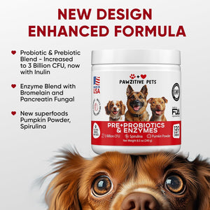 Probiotics for Dogs Digestive Health