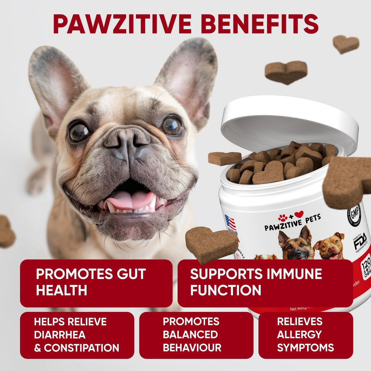 Probiotics for Dogs Digestive Health