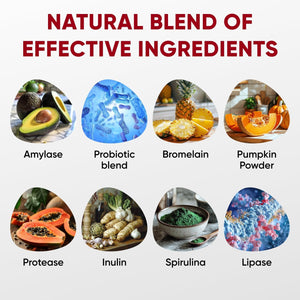 Probiotics for Dogs Digestive Health