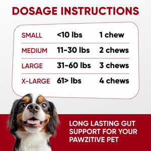 Probiotics for Dogs Digestive Health