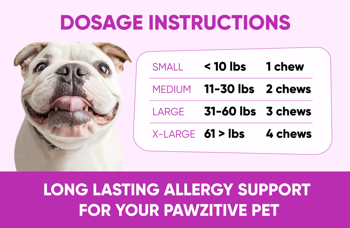Dog Allergy Chews for Itchy Skin